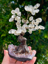 Load image into Gallery viewer, Clear Quartz Crystal Gem Tree on Amethyst Cluster Base