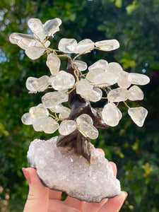 Clear Quartz Crystal Gem Tree on Amethyst Cluster Base #2