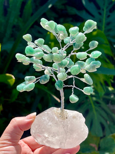 Large Premium Quality Crystal Gem Tree on Clear Quartz Crystal Base - Green Aventurine