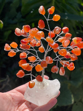 Load image into Gallery viewer, Large Premium Quality Crystal Gem Tree on Clear Quartz Crystal Base - Carnelian