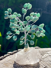Load image into Gallery viewer, Large Premium Quality Crystal Gem Tree on Clear Quartz Crystal Base - Green Aventurine