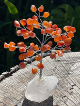 Load image into Gallery viewer, Large Premium Quality Crystal Gem Tree on Clear Quartz Crystal Base - Carnelian