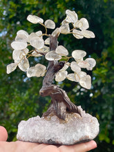 Load image into Gallery viewer, Clear Quartz Crystal Gem Tree on Amethyst Cluster Base #2
