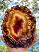 Load image into Gallery viewer, Huge 18.5 Cm A Grade Polished Agate Slice in Display Stand